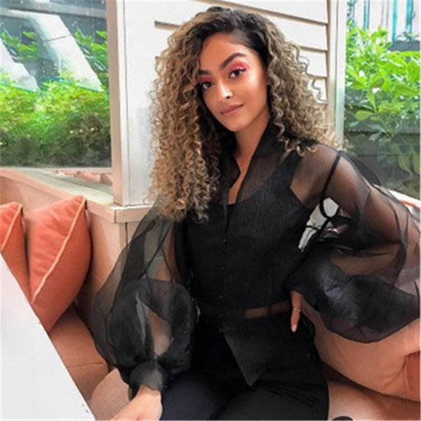 New Elegant Fashion Women OL Casual Shirt Blouse Perspective Sheer Mesh Lantern long sleeve Polka dot Button Tops Beach Blusas